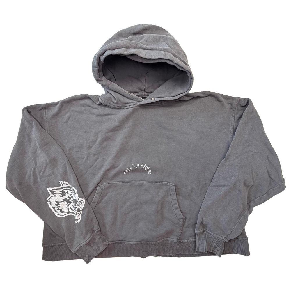 Darc Sport Wolves Club L Gray Boxy Cropped Hoodie Premium Vintage Collection